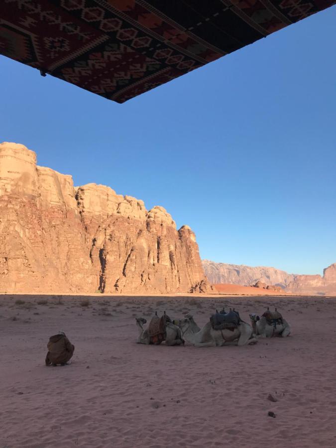 Wadirum Momoo Wadi Rum Eksteriør bilde