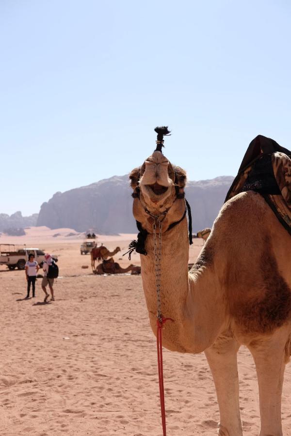 Wadirum Momoo Wadi Rum Eksteriør bilde